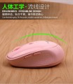 [粉色]雷迪凯GW06无线鼠标办公商务通用USB电脑笔记本光电鼠标